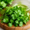 Зелёная кинза нарезанная